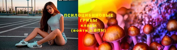 ECSTASY Абаза