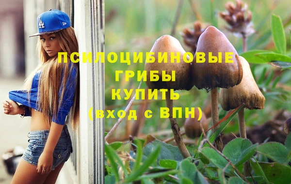 ECSTASY Абаза