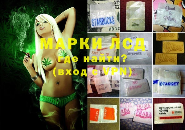 ECSTASY Абаза